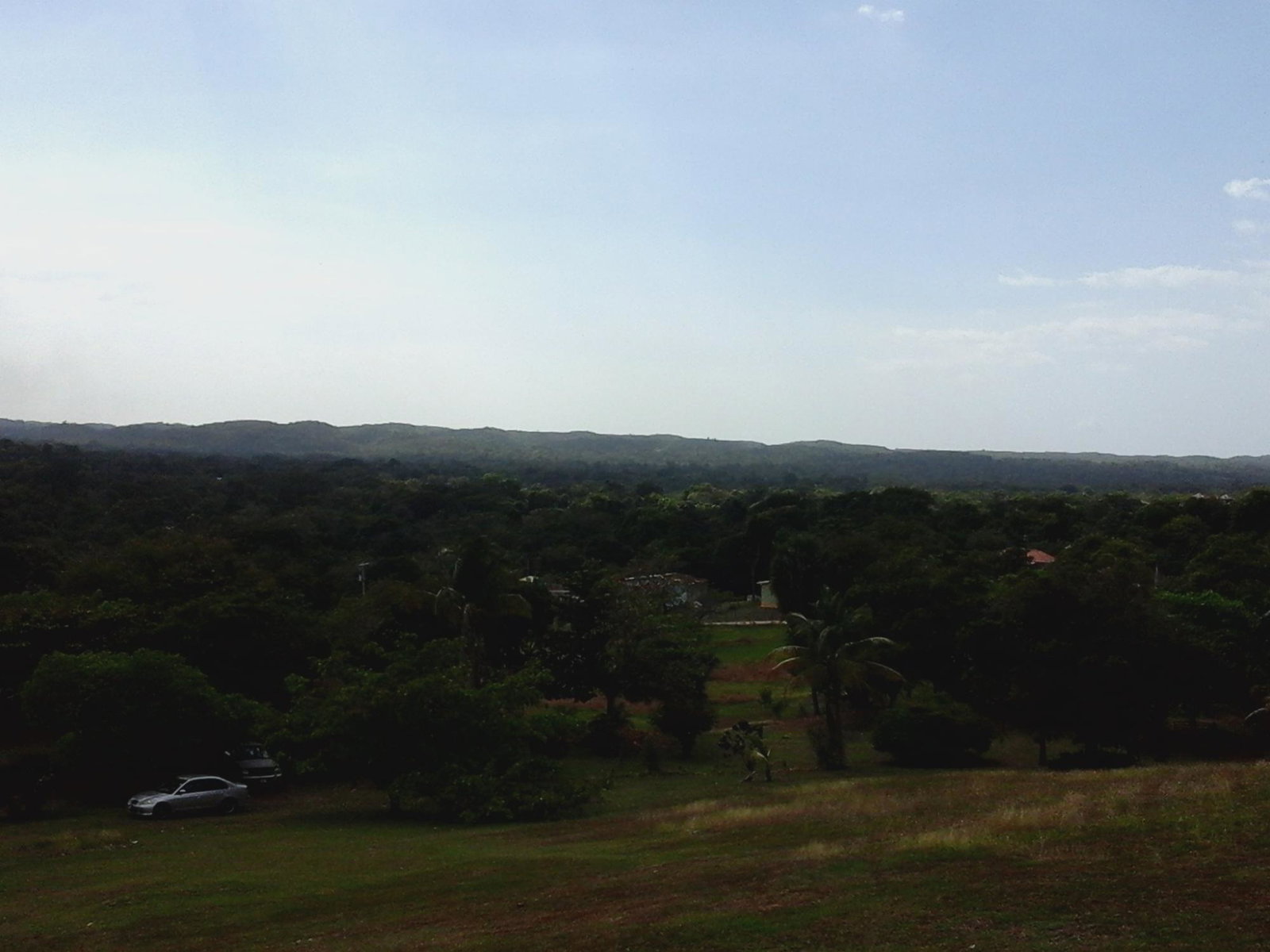 Eighteenth image of Fyffes Pen in Black River, St. Elizabeth, Jamaica - property is For Sale