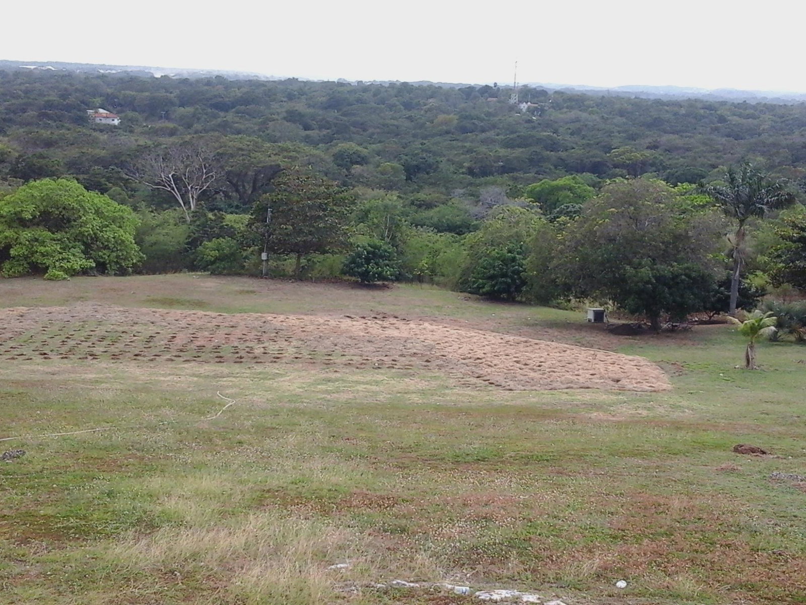 Nineteenth image of Fyffes Pen in Black River, St. Elizabeth, Jamaica - property is For Sale