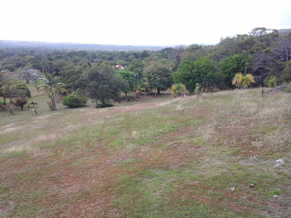 Twenty-Second image of Fyffes Pen in Black River, St. Elizabeth, Jamaica - property is For Sale