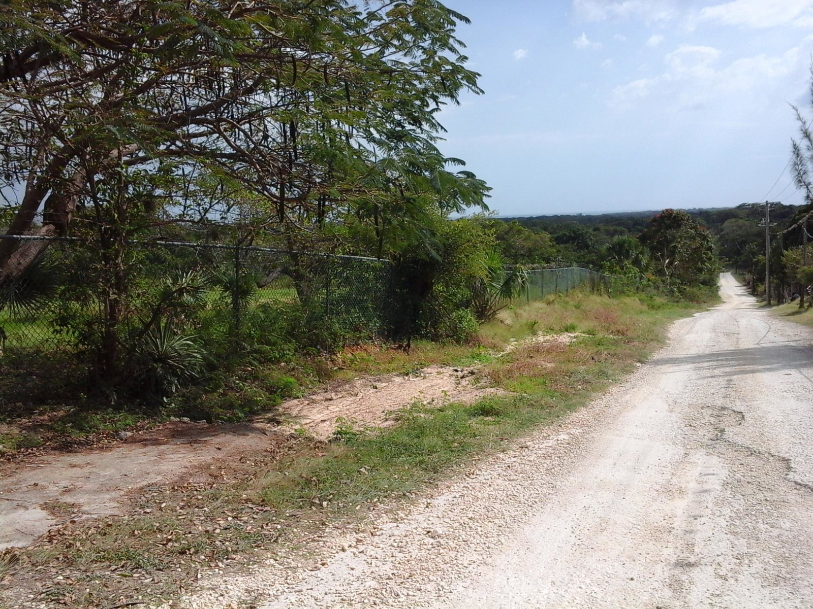 Third image of Fyffes Pen in Black River, St. Elizabeth, Jamaica - property is For Sale
