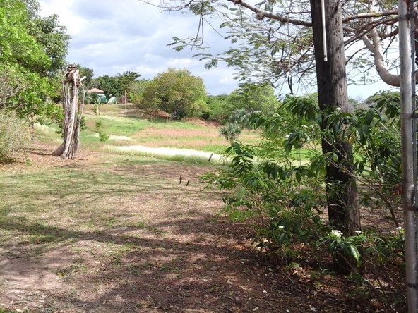 Fifth image of Fyffes Pen in Black River, St. Elizabeth, Jamaica - property is For Sale