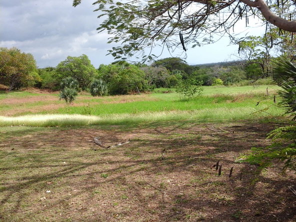 Sixth image of Fyffes Pen in Black River, St. Elizabeth, Jamaica - property is For Sale