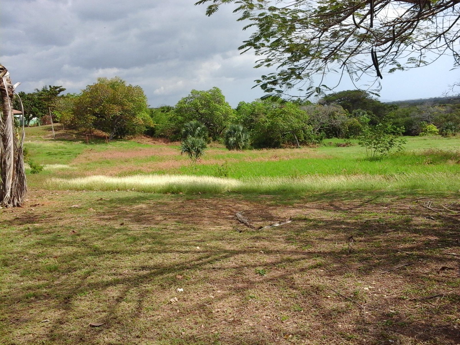 Seventh image of Fyffes Pen in Black River, St. Elizabeth, Jamaica - property is For Sale