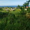 First image of 506 Boscobel Heights in Boscobel Heights, St. Mary, Jamaica - property is For Sale