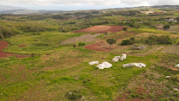 Fourth image of Berlin Road in Berlin, St. Elizabeth, Jamaica - property is For Sale