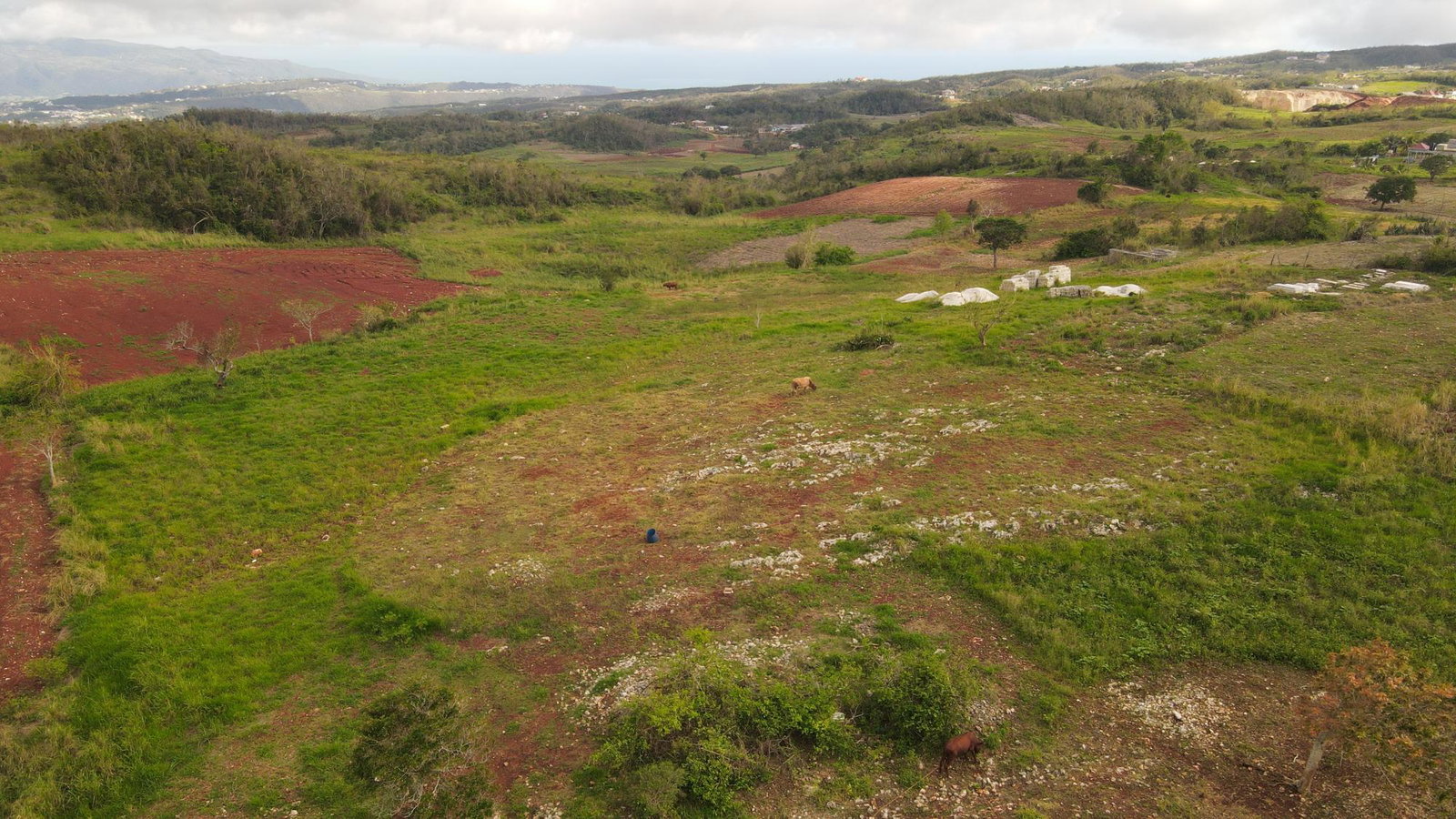 Fifth image of Berlin Road in Berlin, St. Elizabeth, Jamaica - property is For Sale