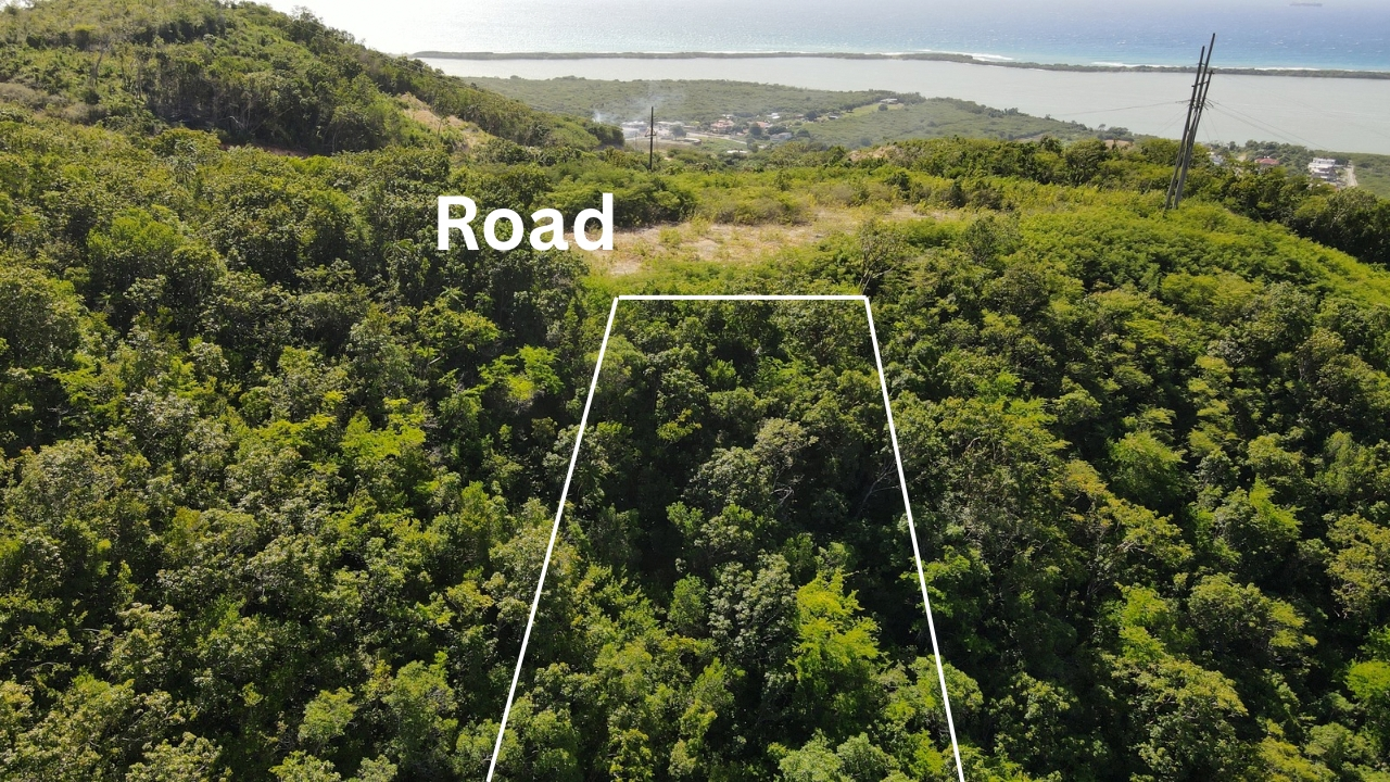 First image of Pamphret Heights in Pomfret, St. Thomas, Jamaica - property is For Sale