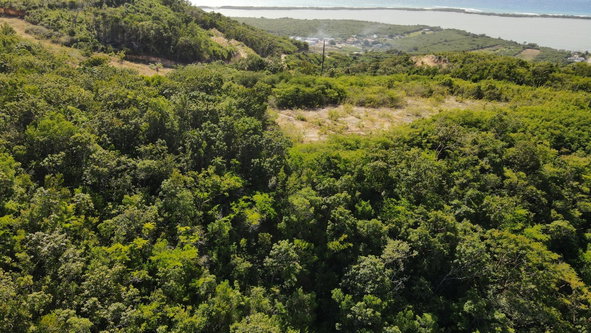 Third image of Pamphret Heights in Pomfret, St. Thomas, Jamaica - property is For Sale
