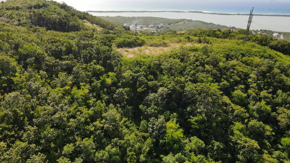 Fourth image of Pamphret Heights in Pomfret, St. Thomas, Jamaica - property is For Sale