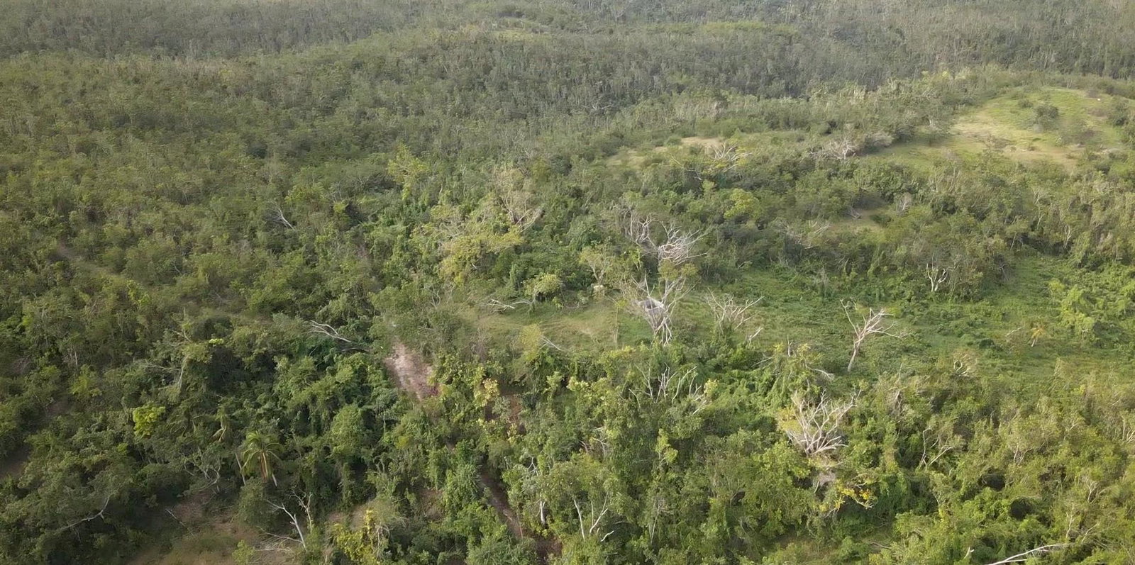 Fifth image of 62 Garredu in Perth Town, Trelawny, Jamaica - property is For Sale