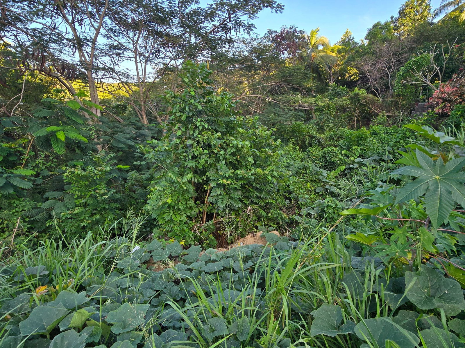 Ninth image of 272 st Jago Cres. st Jago Hil in Spanish Town, St. Catherine, Jamaica - property is For Sale