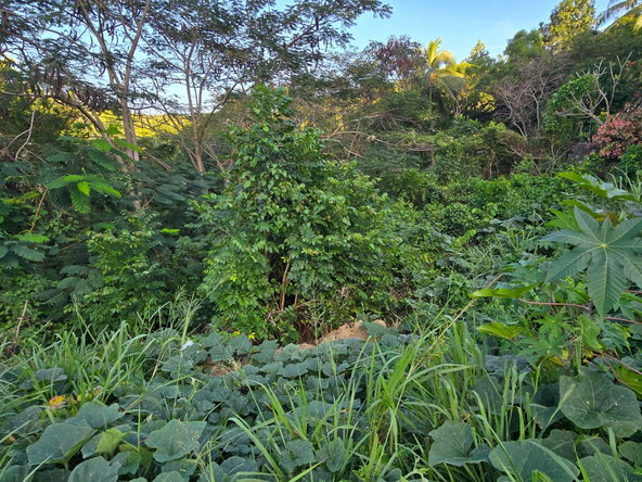 Ninth image of 272 st Jago Cres. st Jago Hil in Spanish Town, St. Catherine, Jamaica - property is For Sale