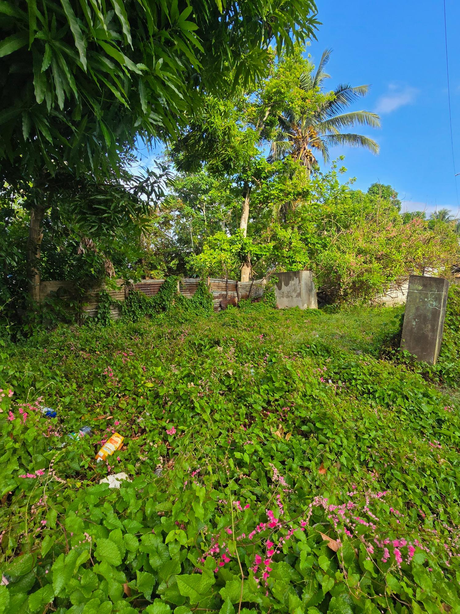 Eighth image of Bryants Cres. May Pen in May Pen, Clarendon, Jamaica - property is For Sale