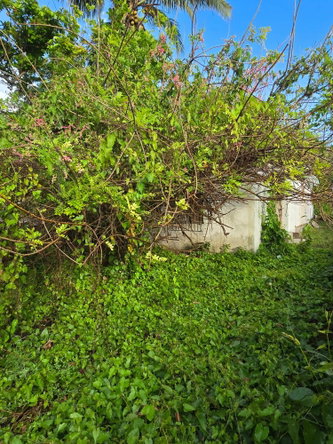 Ninth image of Bryants Cres. May Pen in May Pen, Clarendon, Jamaica - property is For Sale