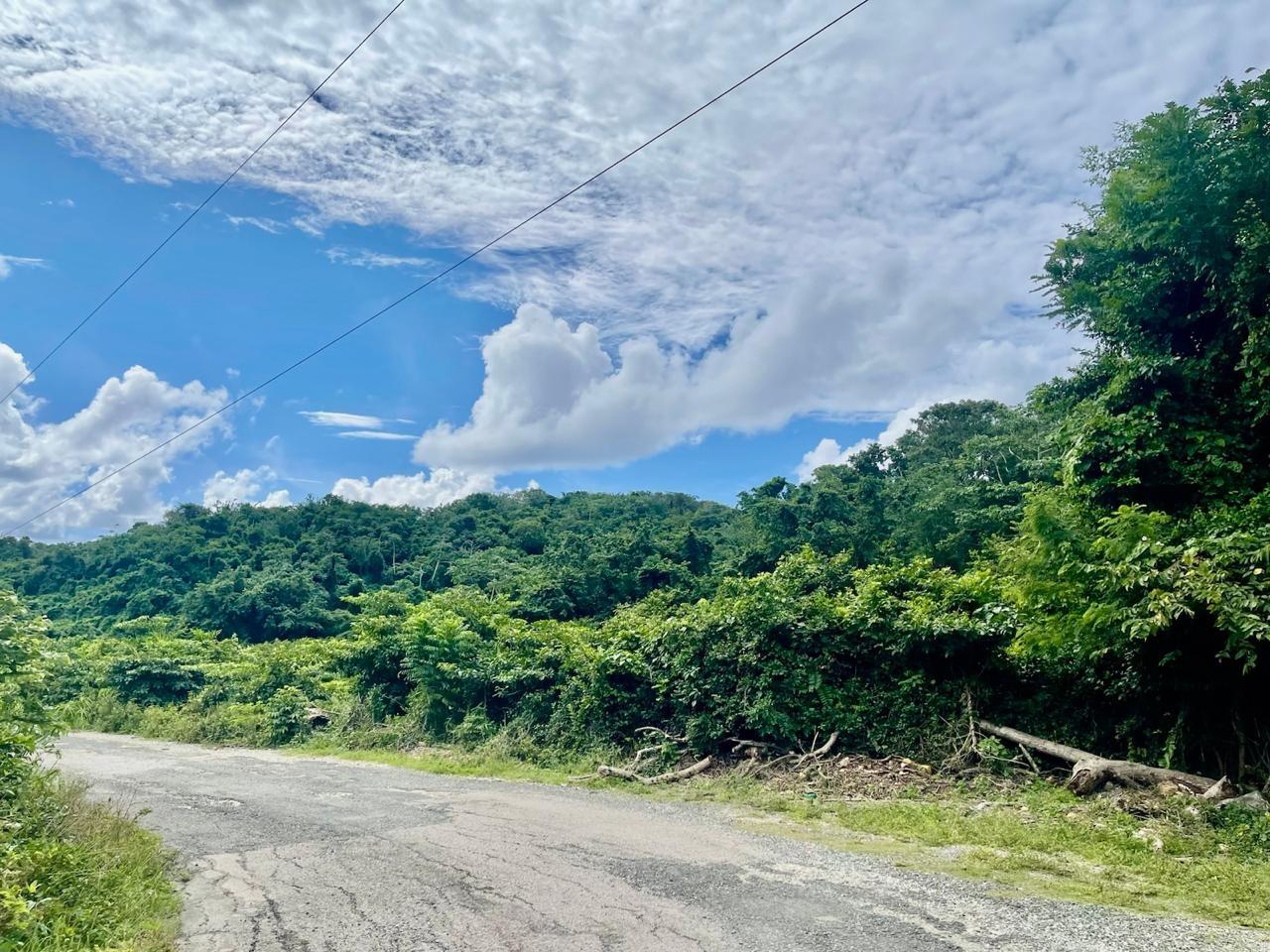 Tenth image of Bowden St. Thomas in Phillipsfield, St. Thomas, Jamaica - property is For Sale
