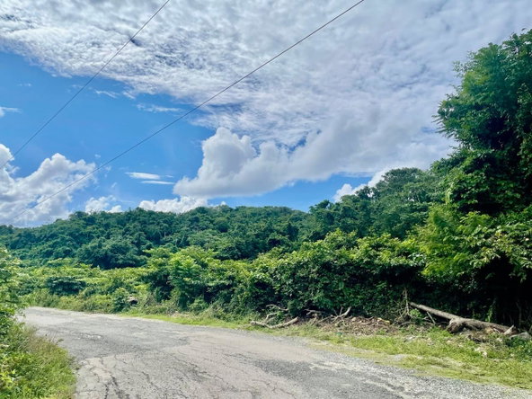Tenth image of Bowden St. Thomas in Phillipsfield, St. Thomas, Jamaica - property is For Sale