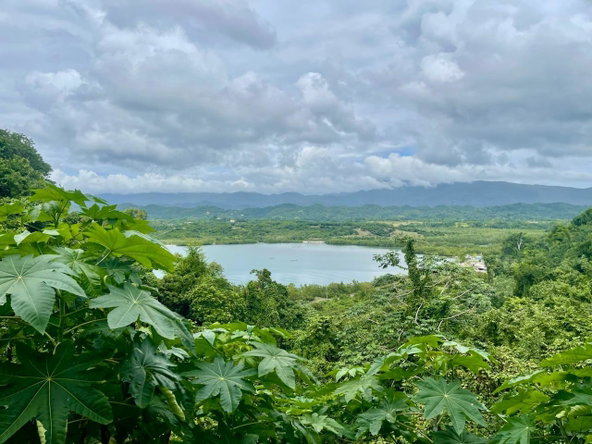 Seventh image of Bowden St. Thomas in Phillipsfield, St. Thomas, Jamaica - property is For Sale