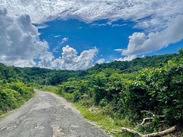 Eighth image of Bowden St. Thomas in Phillipsfield, St. Thomas, Jamaica - property is For Sale