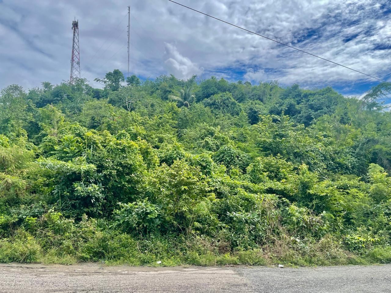 Ninth image of Bowden St. Thomas in Phillipsfield, St. Thomas, Jamaica - property is For Sale
