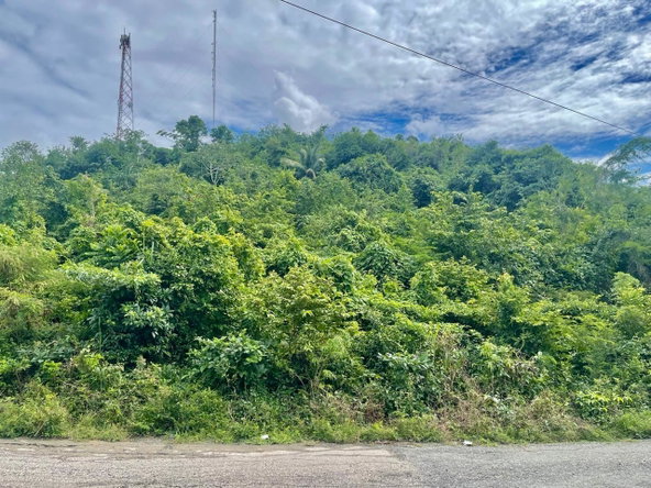 Ninth image of Bowden St. Thomas in Phillipsfield, St. Thomas, Jamaica - property is For Sale
