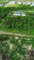 First image of Lot 40-40 Lot 40 Honeymoon Circle c in Runaway Bay, St. Ann, Jamaica - property is For Sale