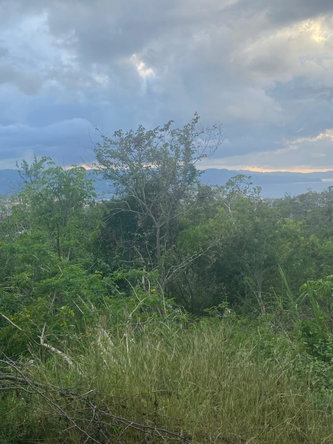 Seventh image of 127 Montego Heights in Montego Heights, St. James, Jamaica - property is For Sale