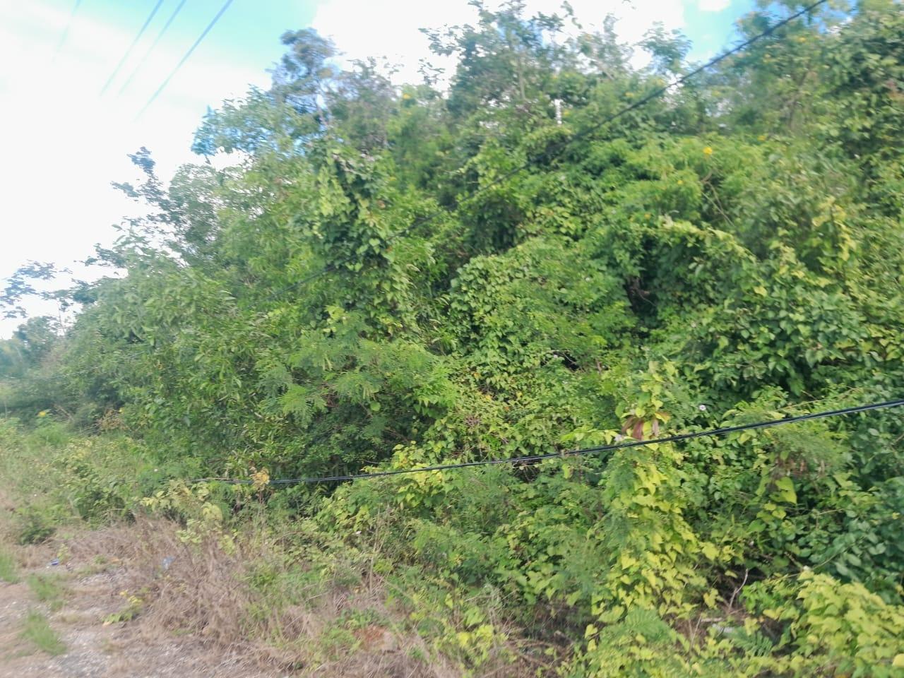 Fifth image of 16 Montpelier, Burntwood Cl. in Spur Tree, Manchester, Jamaica - property is For Sale