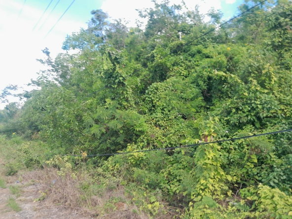 Fifth image of 16 Montpelier, Burntwood Cl. in Spur Tree, Manchester, Jamaica - property is For Sale