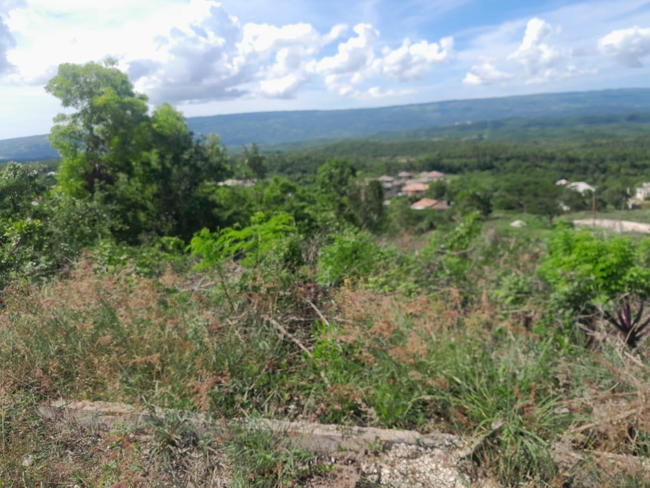 Fifth image of 18 Montpelier, Burntwood in Spur Tree, Manchester, Jamaica - property is For Sale
