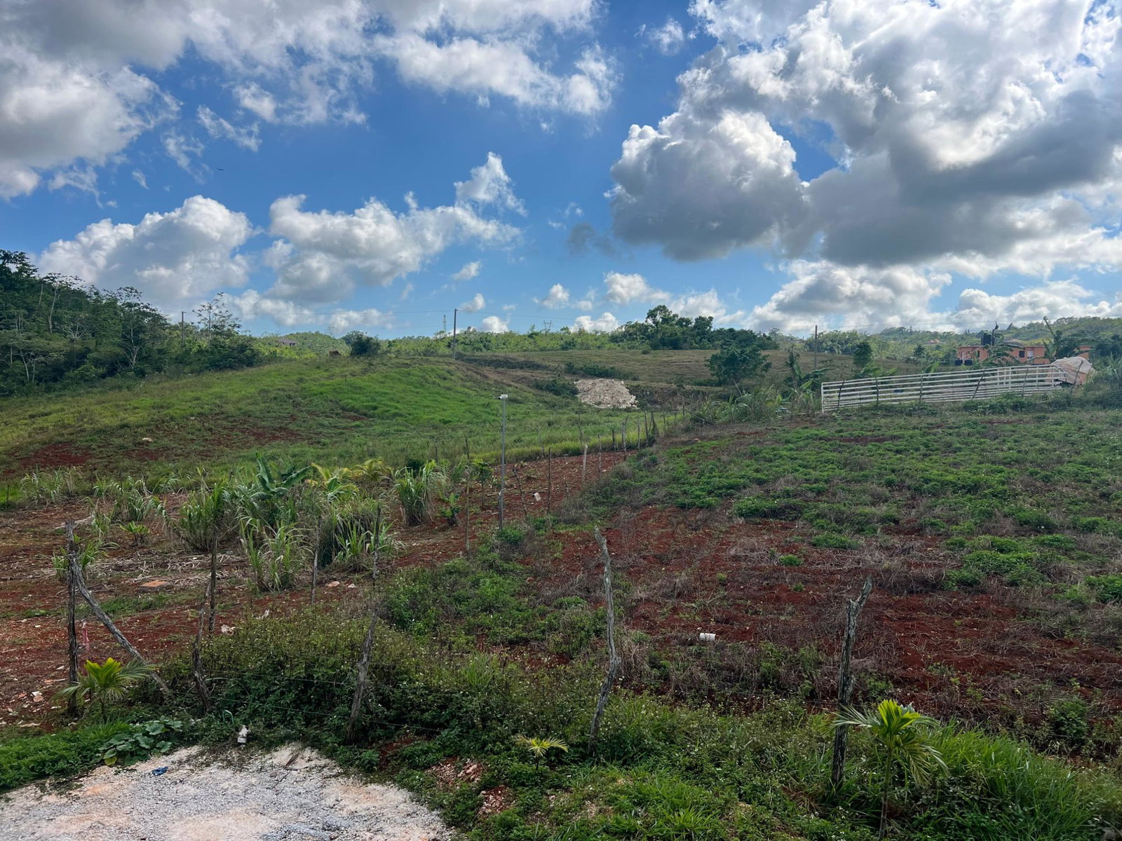 Thirteenth image of A8-261 New Wales in Mandeville, Manchester, Jamaica - property is For Sale