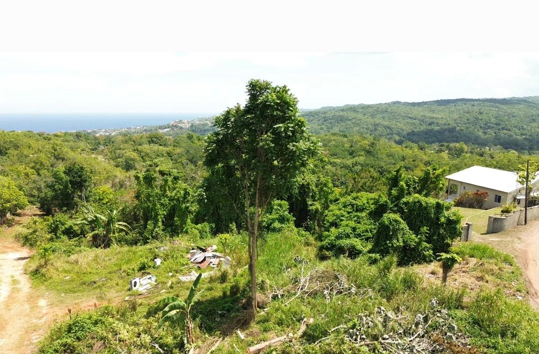 First image of Hard Bargain Charles Town in Charles Town, St. Mary, Jamaica - property is For Sale