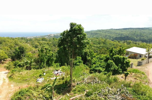 First image of Hard Bargain Charles Town in Charles Town, St. Mary, Jamaica - property is For Sale