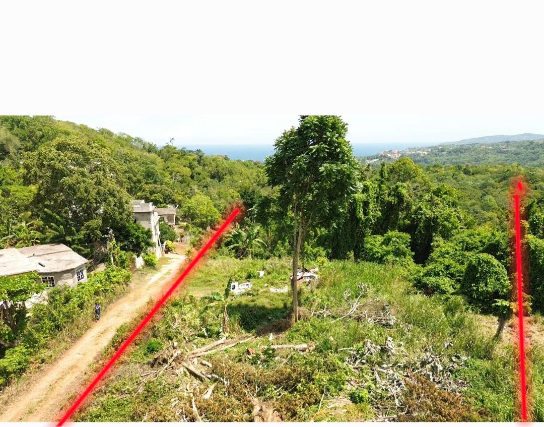 Second image of Hard Bargain Charles Town in Charles Town, St. Mary, Jamaica - property is For Sale