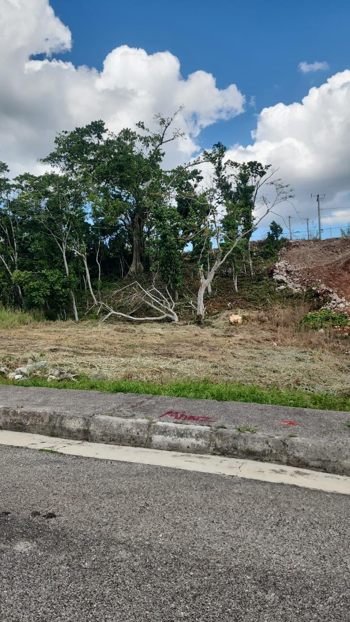 Tenth image of Moorlands Manor Phase 3 in Mandeville, Manchester, Jamaica - property is For Sale