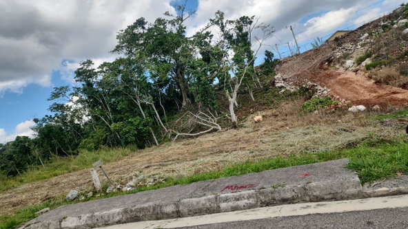 Fourth image of Moorlands Manor Phase 3 in Mandeville, Manchester, Jamaica - property is For Sale