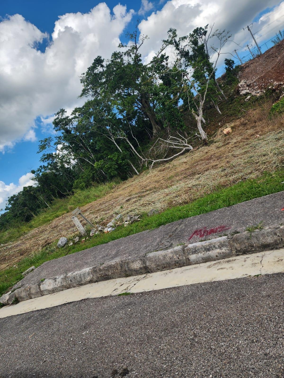 Eighth image of Moorlands Manor Phase 3 in Mandeville, Manchester, Jamaica - property is For Sale