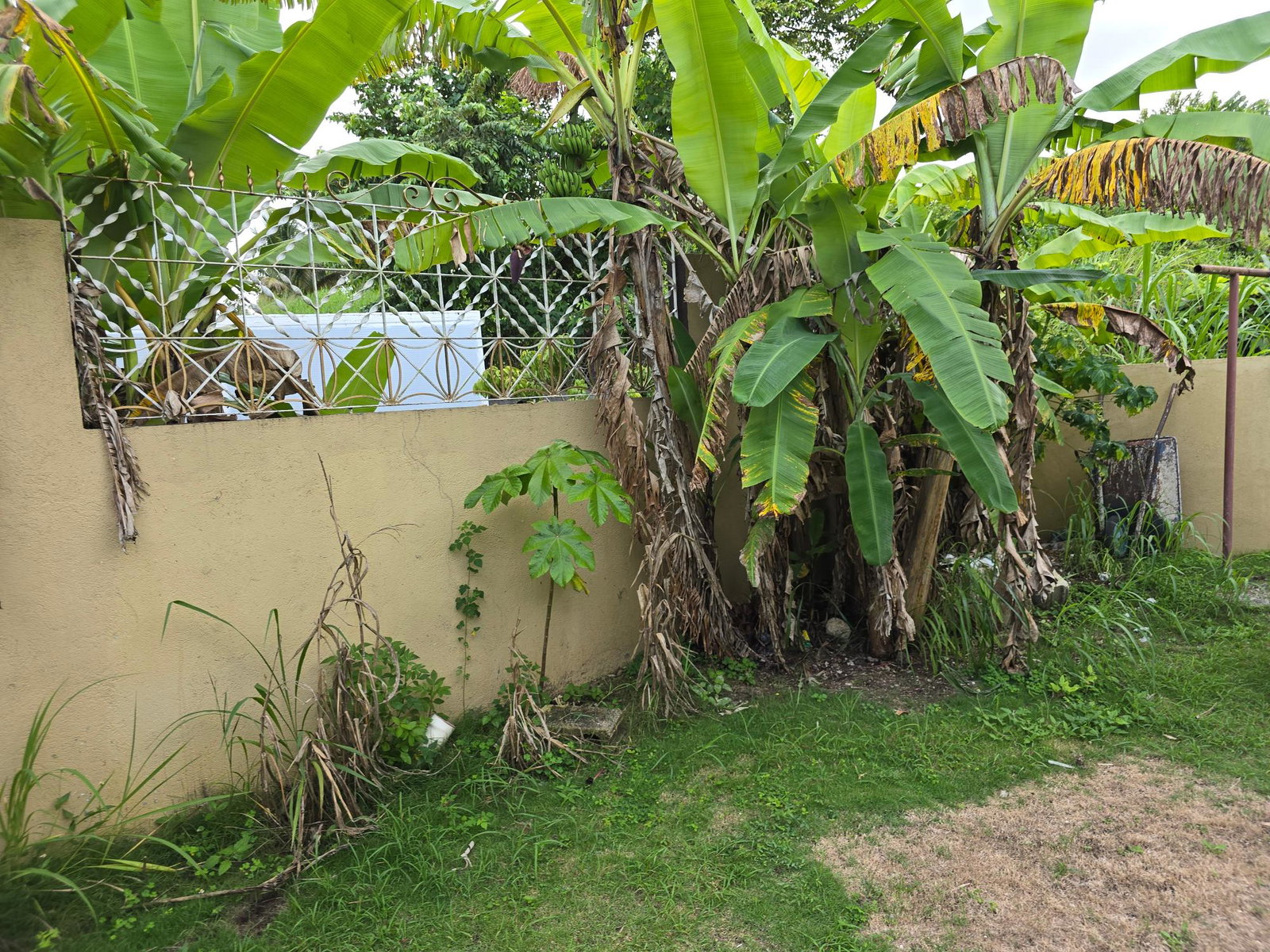 Twenty-Seventh image of 340 Meadows of Irwin in Irwin, St. James, Jamaica - property is For Sale