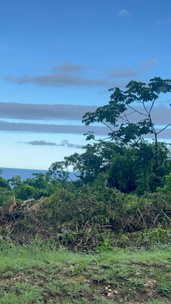 Fourth image of 178 Spring Gardens in Montego Bay, St. James, Jamaica - property is For Sale