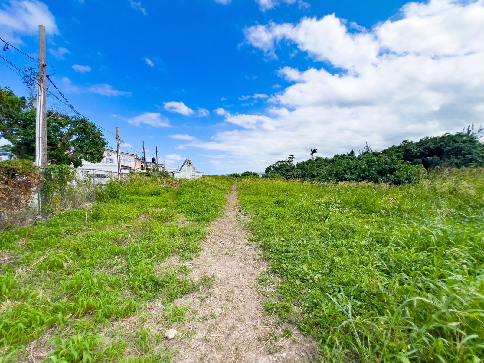 Sixteenth image of 6 Richmond Estate in Richmond, St. Ann, Jamaica - property is For Sale