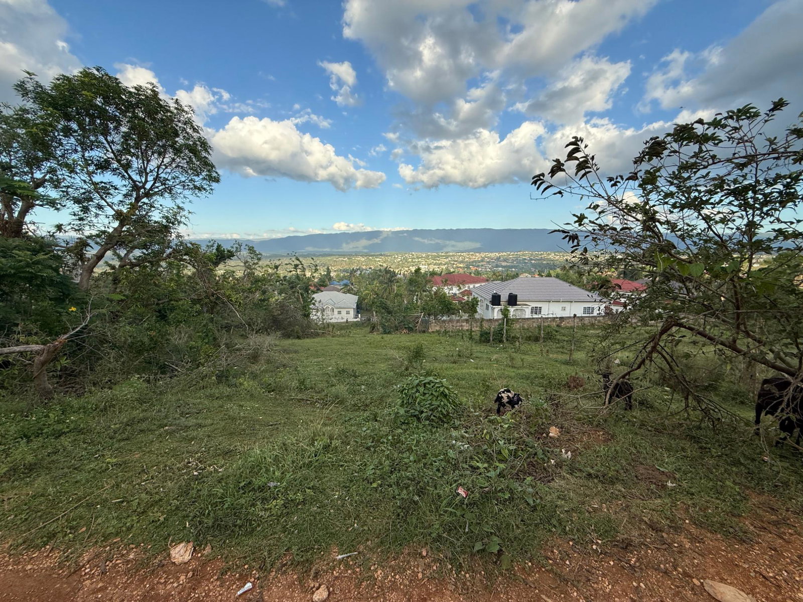 Third image of 69 Beadle Heights in Santa Cruz, St. Elizabeth, Jamaica - property is For Sale