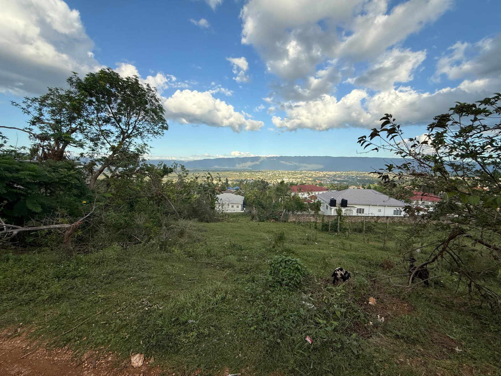 Fourth image of 69 Beadle Heights in Santa Cruz, St. Elizabeth, Jamaica - property is For Sale