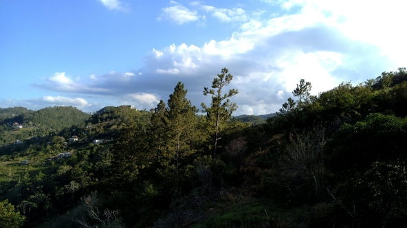 Thirteenth image of Mollison Christiana, Manchester in Mollison, Manchester, Jamaica - property is For Sale