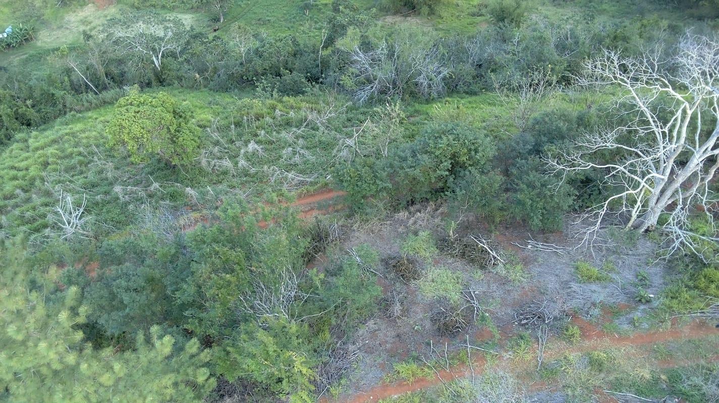 Fourteenth image of Mollison Christiana, Manchester in Mollison, Manchester, Jamaica - property is For Sale