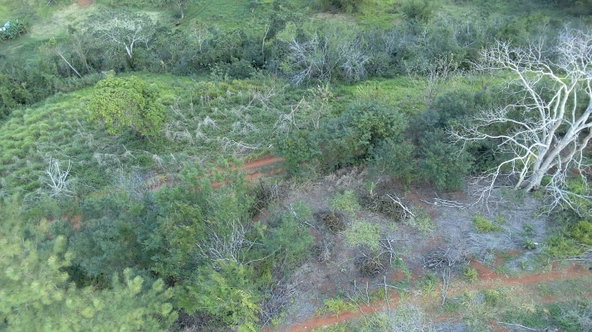 Fourteenth image of Mollison Christiana, Manchester in Mollison, Manchester, Jamaica - property is For Sale