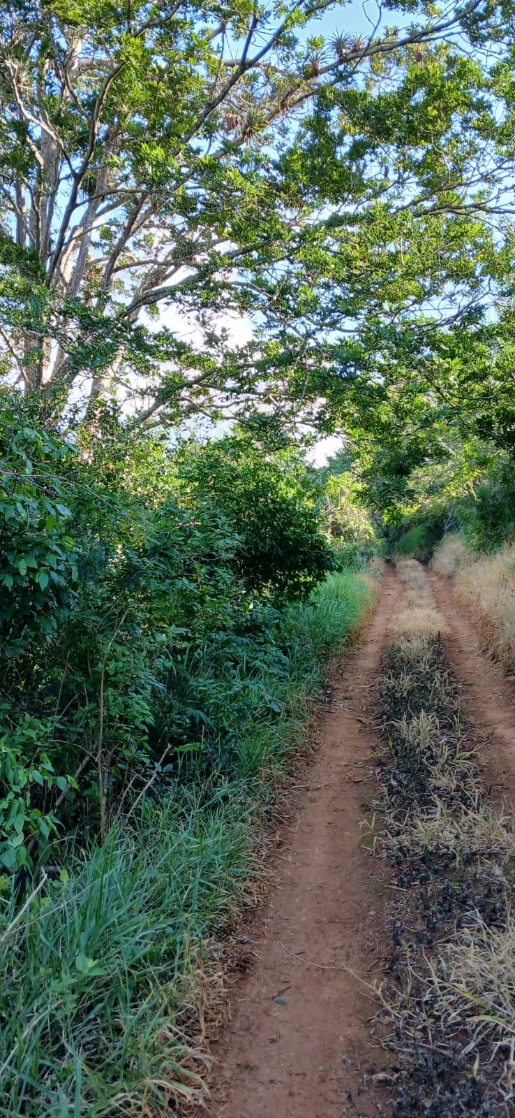 Eighteenth image of Mollison Christiana, Manchester in Mollison, Manchester, Jamaica - property is For Sale