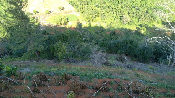 Second image of Mollison Christiana, Manchester in Mollison, Manchester, Jamaica - property is For Sale