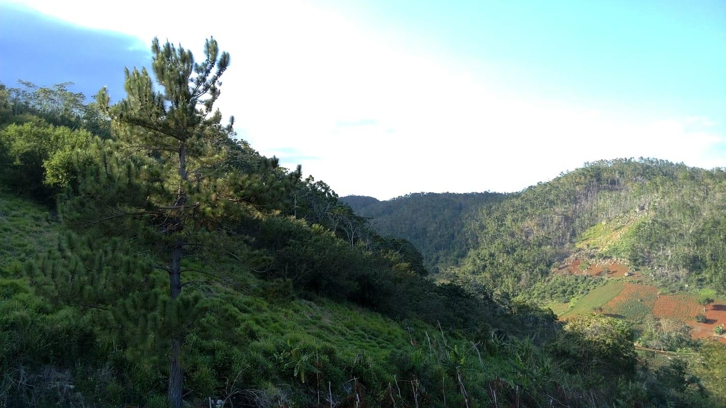 Fourth image of Mollison Christiana, Manchester in Mollison, Manchester, Jamaica - property is For Sale
