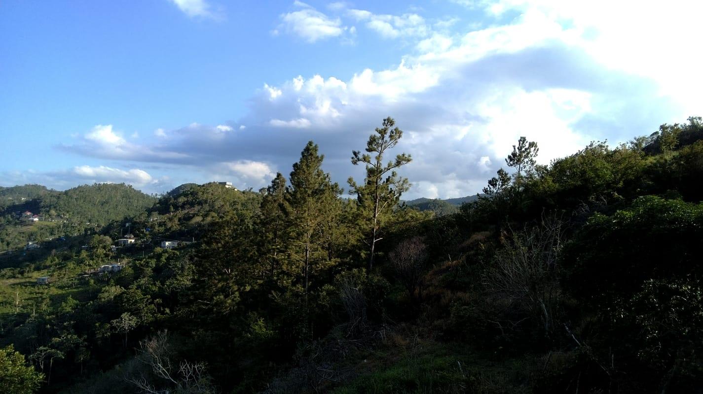 Eighth image of Mollison Christiana, Manchester in Mollison, Manchester, Jamaica - property is For Sale