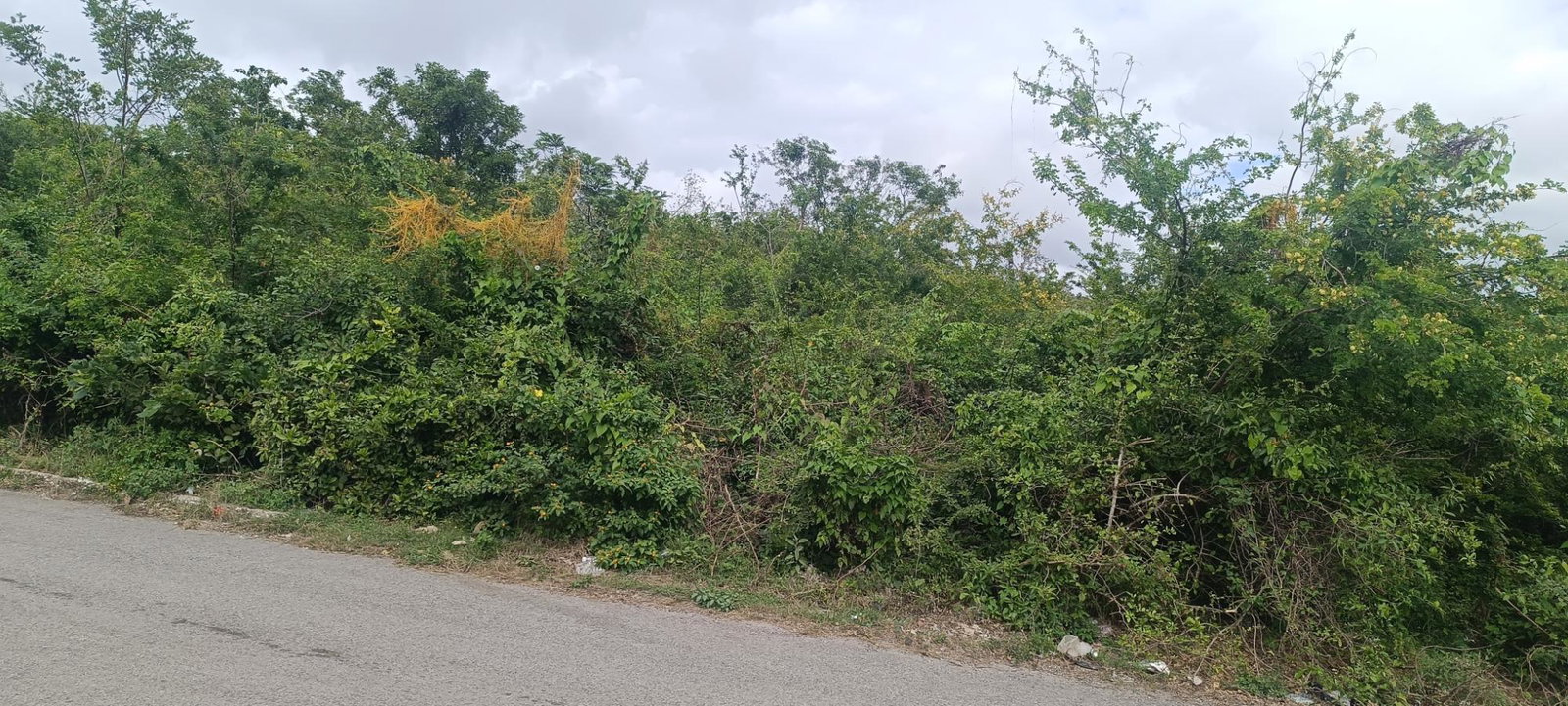 Third image of Salt Spring, Montego Bay in Montego Hills, St. James, Jamaica - property is For Sale