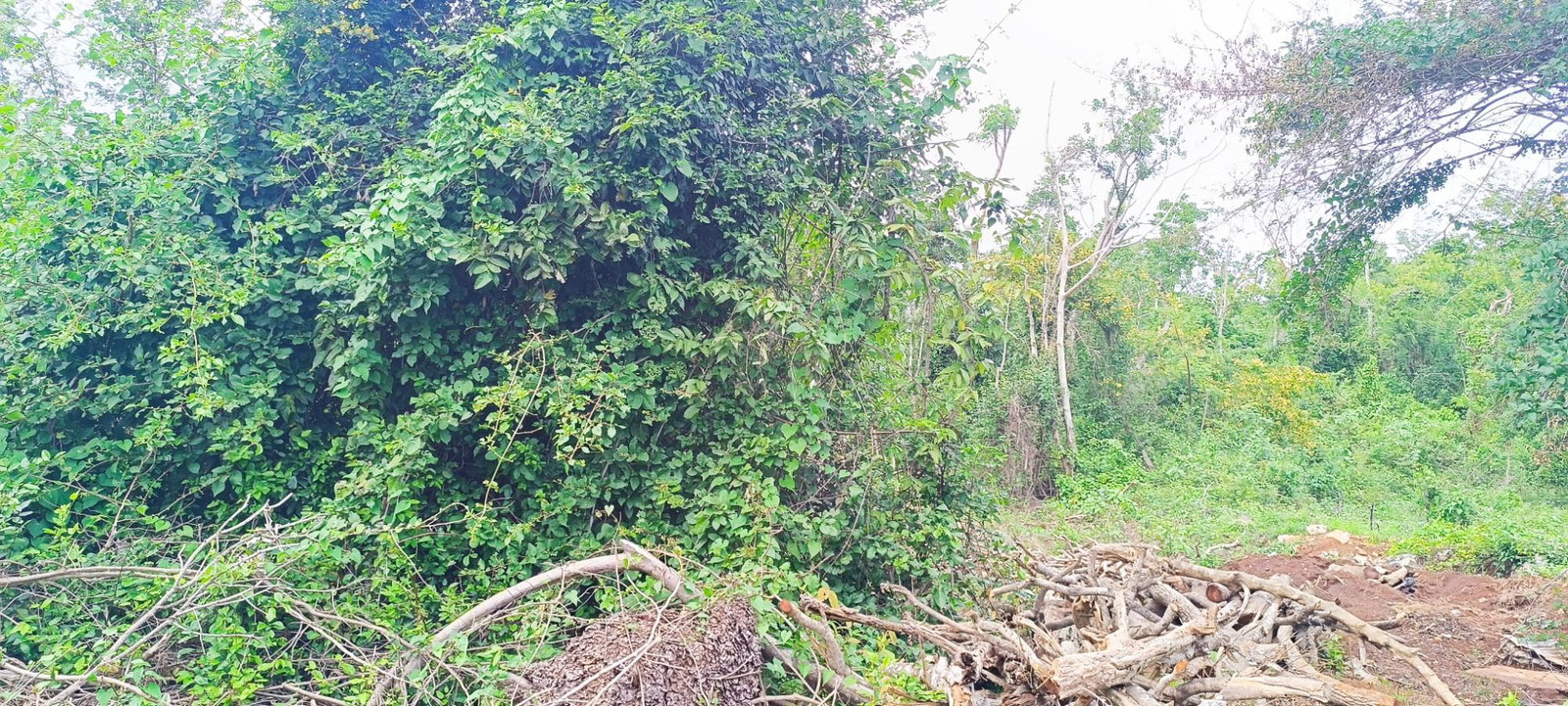 Fourth image of Salt Spring, Montego Bay in Montego Hills, St. James, Jamaica - property is For Sale